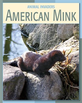 Cover image for American Mink