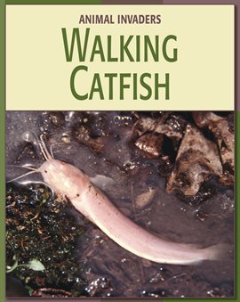 Cover image for Walking Catfish
