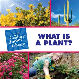 Cover image for What is a Plant?