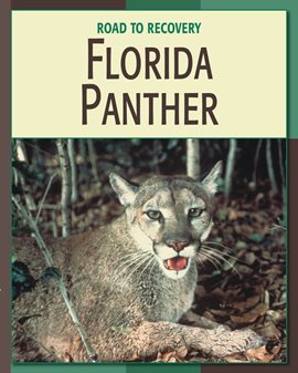 Cover image for Florida Panther