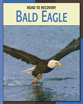 Cover image for Bald Eagle