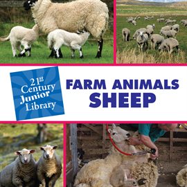 Cover image for Farm Animals: Sheep