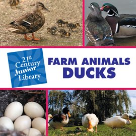 Cover image for Farm Animals: Ducks