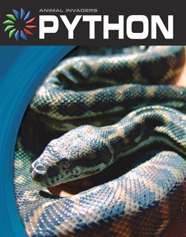 Imagen de portada para Python