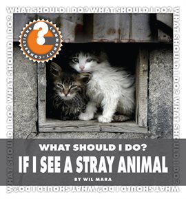 Cover image for What Should I Do? If I See a Stray Animal