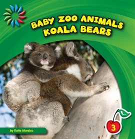 Cover image for Koala Bears