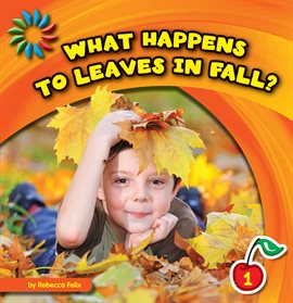 Cover image for What Happens to Leaves in Fall?