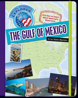 Cover image for The Gulf of Mexico