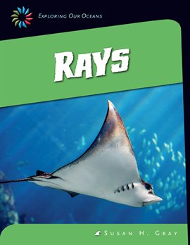 Imagen de portada para Rays