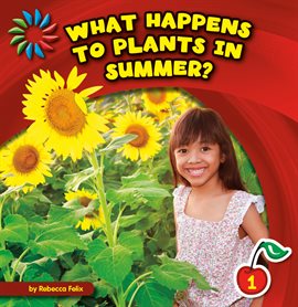 Cover image for What Happens to Plants in Summer?