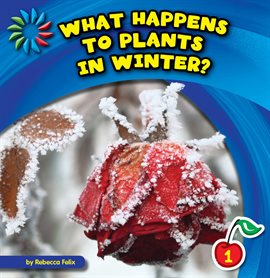 Cover image for What Happens to Plants in Winter?
