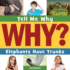 Cover image for Elephants Have Trunks