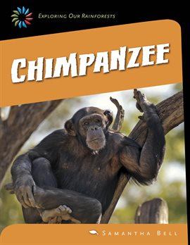 Cover image for Chimpanzee