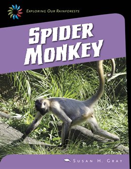Cover image for Spider Monkey