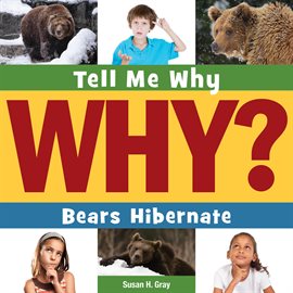 Cover image for Bears Hibernate