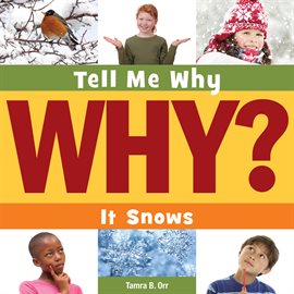 Cover image for It Snows