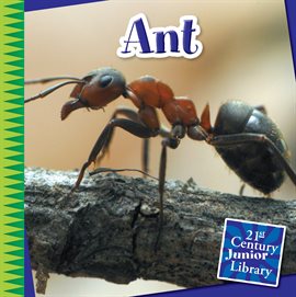 Imagen de portada para Ant