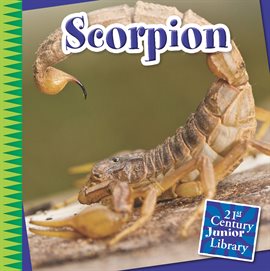 Cover image for Scorpion