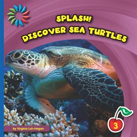 Cover image for Discover Sea Turtles