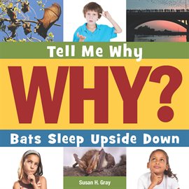 Cover image for Bats Sleep Upside Down