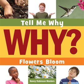 Cover image for Flowers Bloom