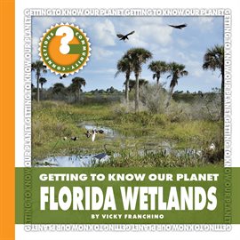 Cover image for Florida Wetlands