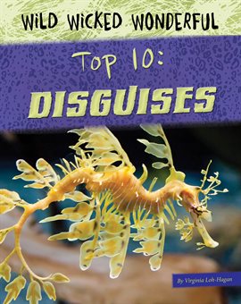 Cover image for Disguises