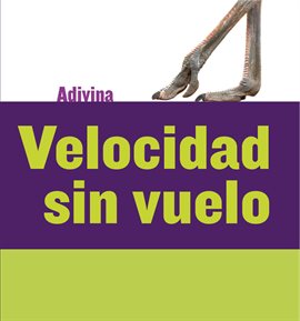 Cover image for Velocidad sin Vuelo