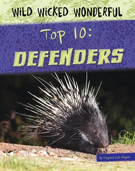 Cover image for Top 10: Defenders