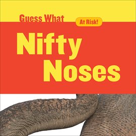 Cover image for Nifty Noses