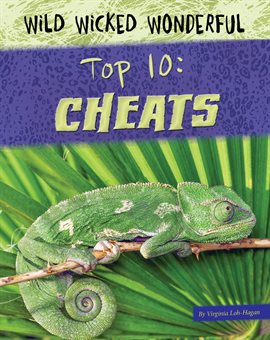 Cover image for Top 10: Cheats