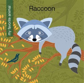 Cover image for Raccoon
