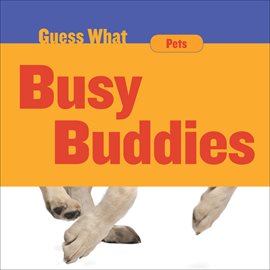 Cover image for Busy Buddies