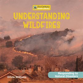 Cover image for Understanding Wildfires