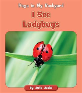 Cover image for I See Ladybugs