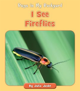 Cover image for I See Fireflies