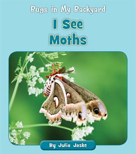 Cover image for I See Moths