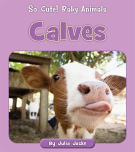 Cover image for Calves