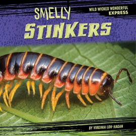 Cover image for Stinking Stinkers