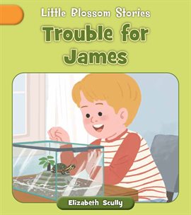 Cover image for Trouble for James