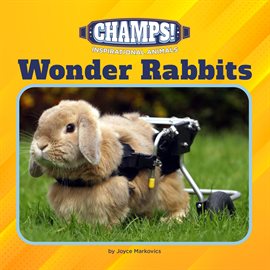 Imagen de portada para Wonder Rabbits