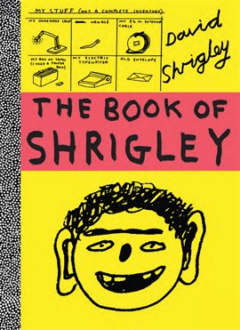 Cover image for The Book of Shrigley