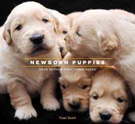 Cover image for Newborn Puppies