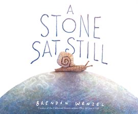Cover image for A Stone Sat Still