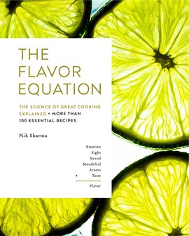 Cover image for The Flavor Equation