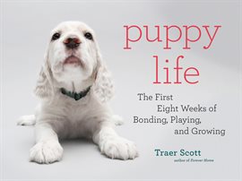 Cover image for Puppy Life