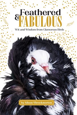 Cover image for Feathered & Fabulous