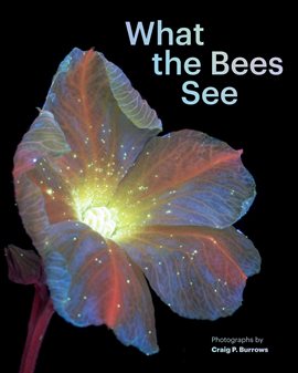 Cover image for What the Bees See