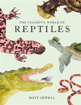 The Colorful World of Reptiles