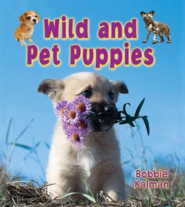 Cover image for Wild and Pet Puppies